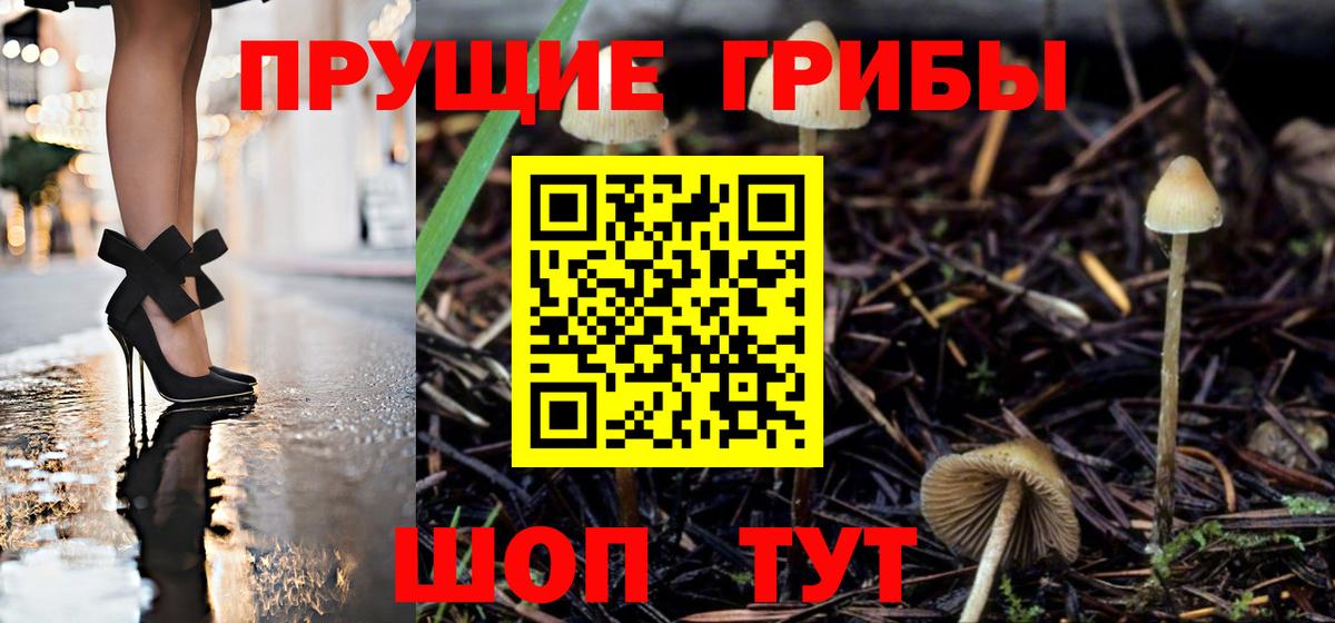 Псилоцибиновые грибы MAGIC MUSHROOMS  Вход с VPN  Фролово 