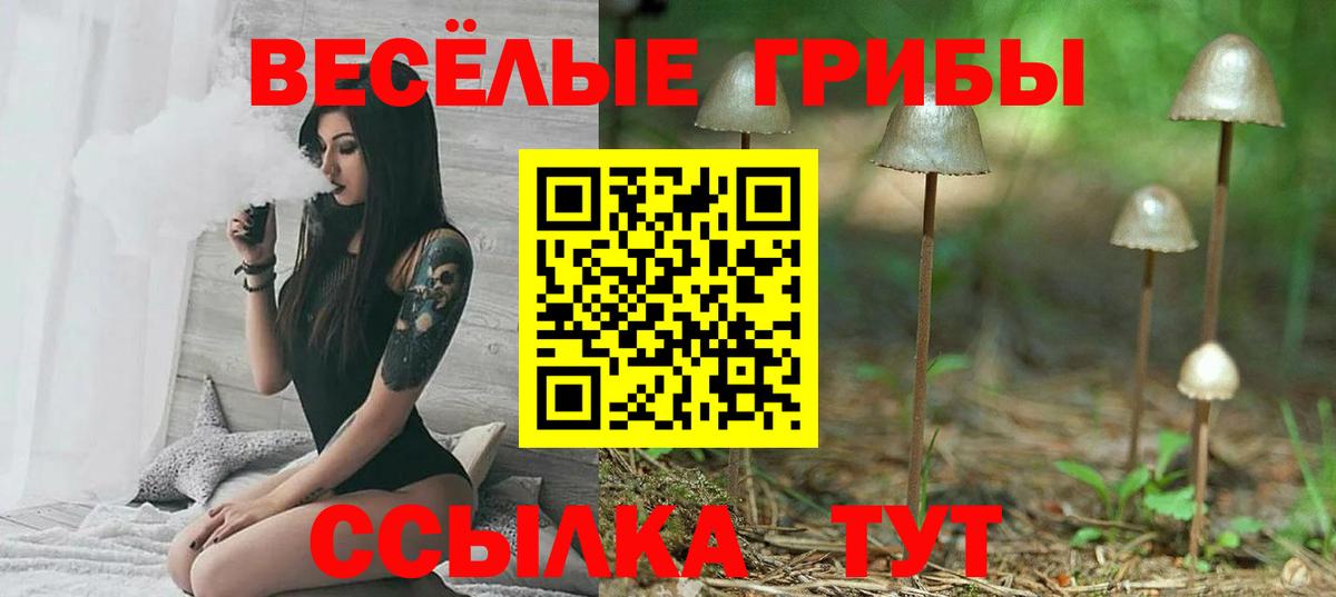 Галлюциногенные грибы ЛСД Фролово