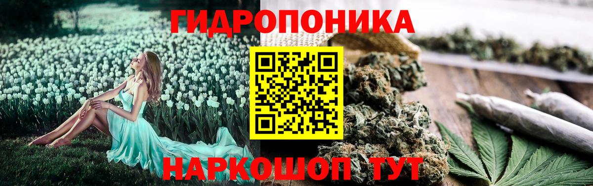 Каннабис MAZAR  Шишки марихуана THC 21%  Фролово  Вход с VPN 